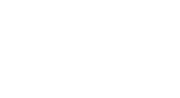 Barndoor | Style & Space